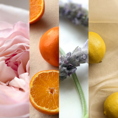 Mademoiselle Provence, c'est avant tout des actifs naturels issu du climat provençal.