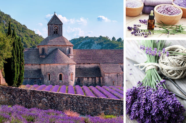 Mille vertus de la lavande Mademoiselle Provence
